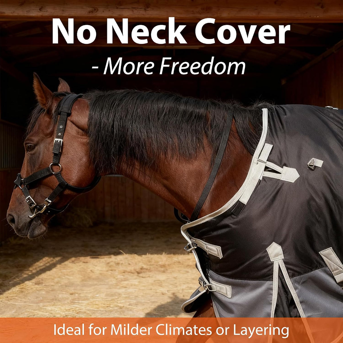 1200D Turnout Horse Blanket with Belly Wrap, Black/Gray, 72IN