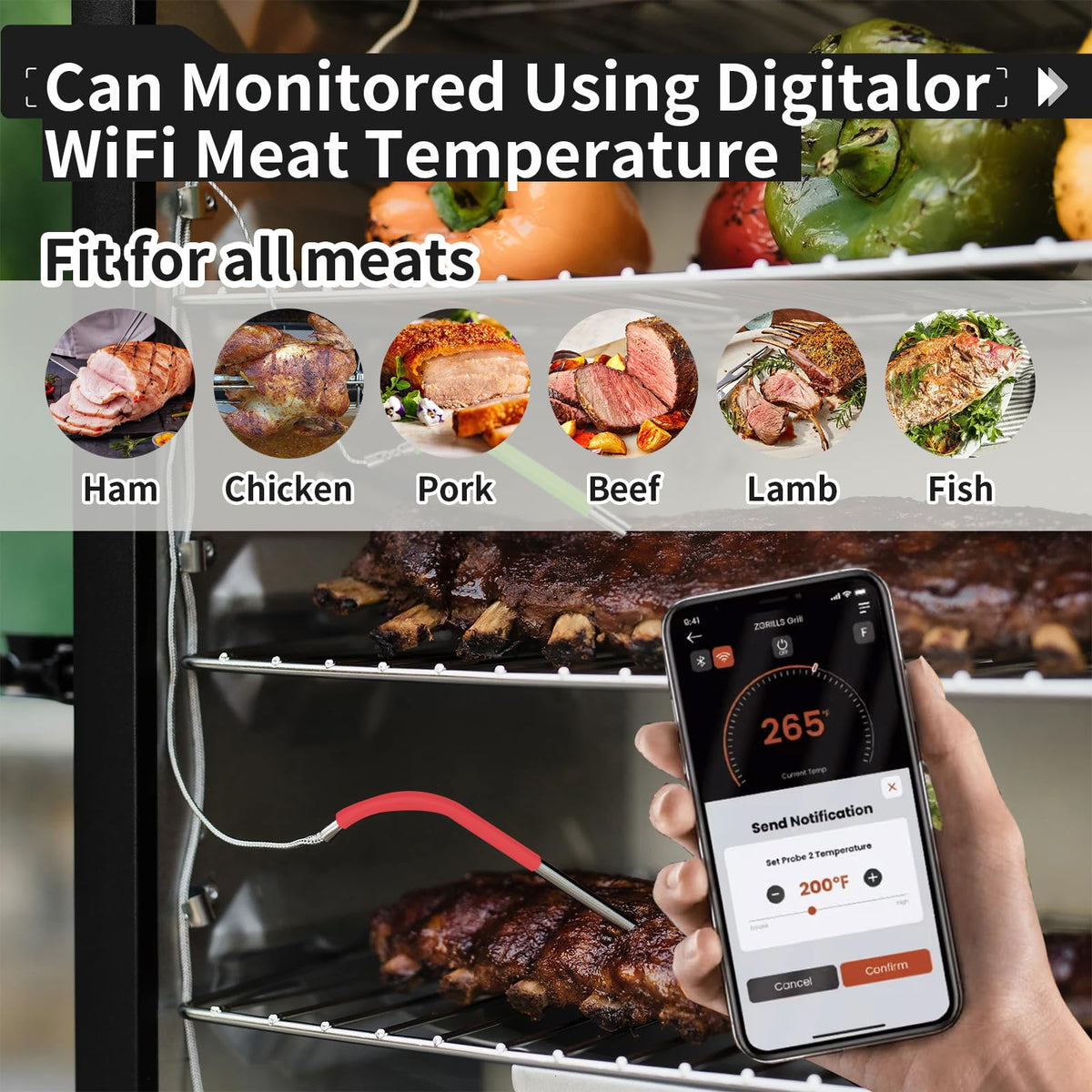 4-Pack Meat Temperature Probe for Masterbuilt 710 Digital Electric Smoker