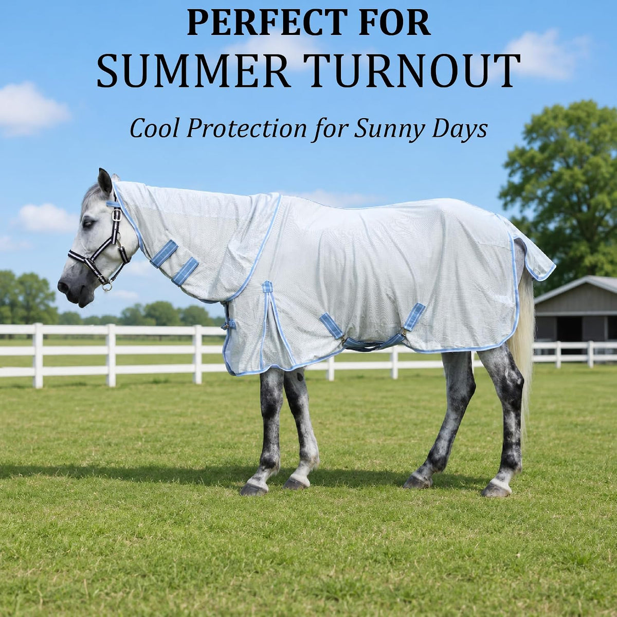 Horse Fly Sheet with Neck, Open Weave Mesh for Hot Weather