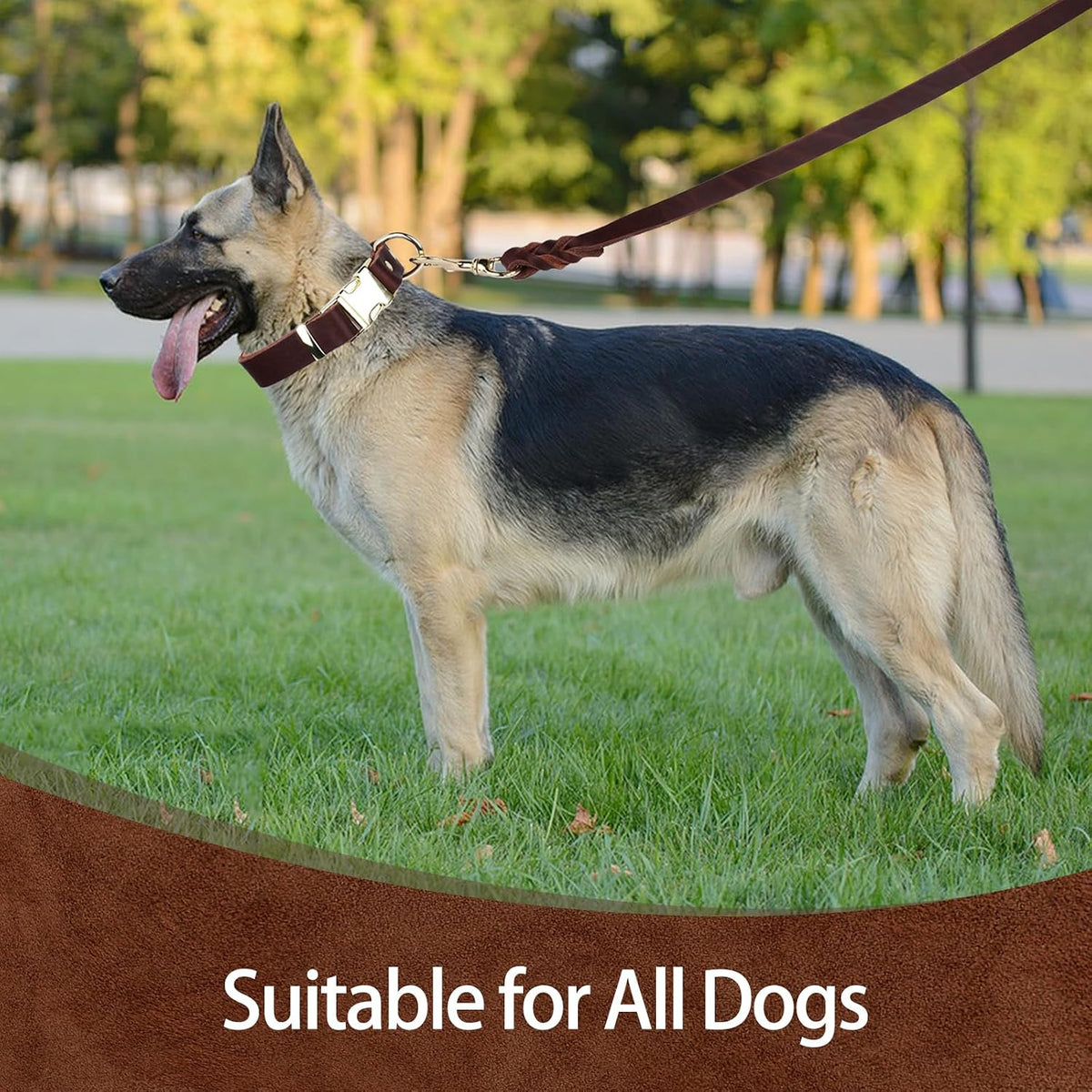 Leather Dog Collar and Leash Set, 6FT Heavy Duty Leather Training Leash with Adjustable Dog Collar, Soft and Durable