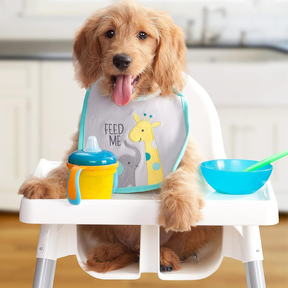 Puppy Gold Premium Dry Dog Food - Chicken Recipe - 5 lb