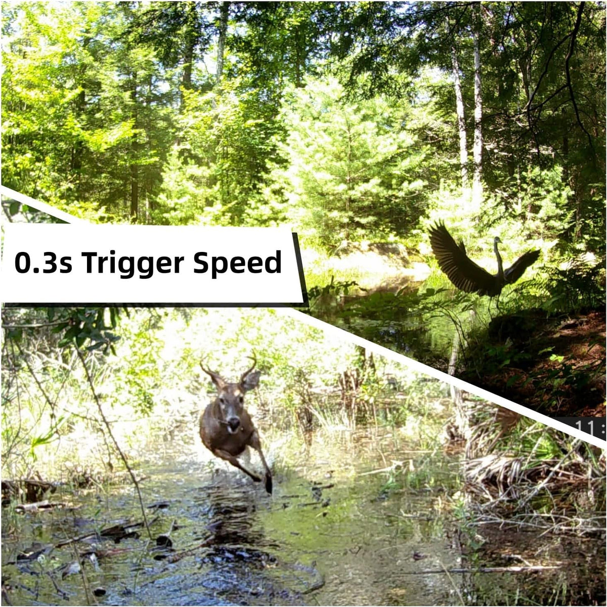 2 Pack Trail Cameras with Night Vision Motion Activated Waterproof,48MP Hunting Game Camera,1080P HD Trail Cam for