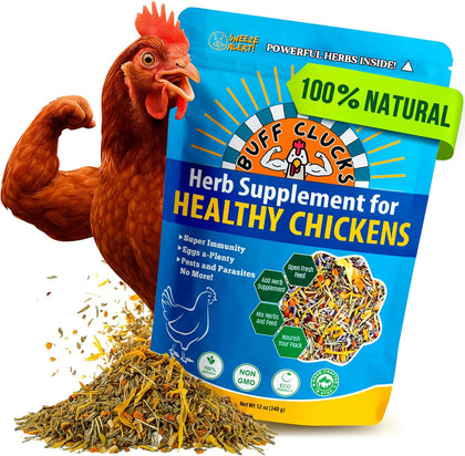 Herbs Supplement for Chicken Food Natural Poultry Feed, 12 oz | Healthy Chick Snacks for Daily Wellness Feather