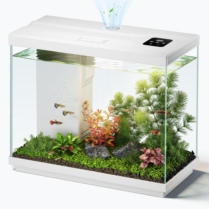2.2 Gallon Small Fish Tank, Betta Fish Aquariums White