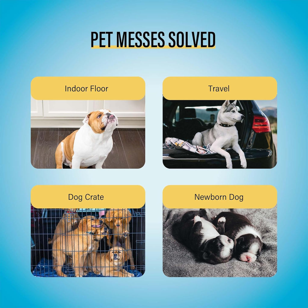 Best Value 22"x22" Dog Training Pads 50 Count | Dog Pee Pads | Super Absorbent Puppy Pads,White