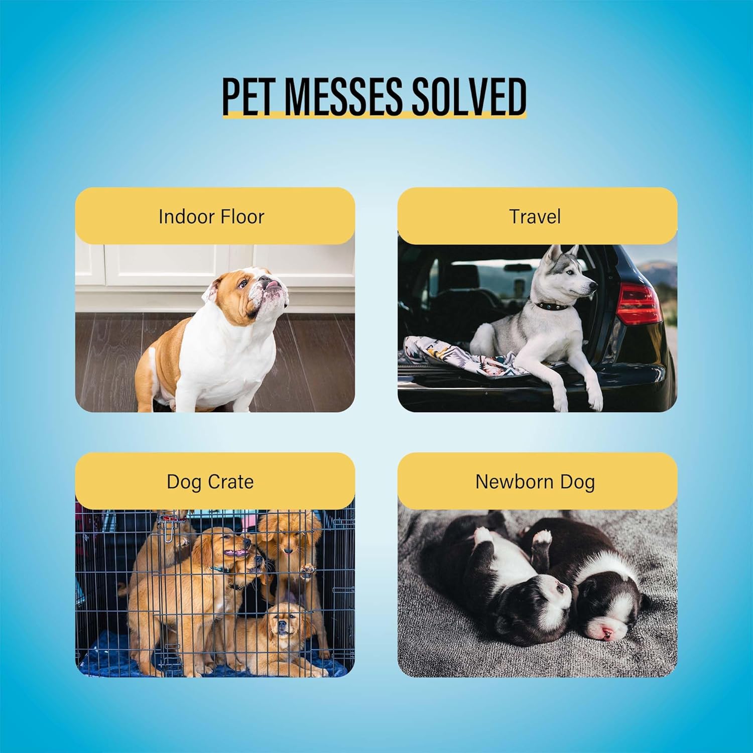 Best Value 22"x22" Dog Training Pads 50 Count | Dog Pee Pads | Super Absorbent Puppy Pads,White