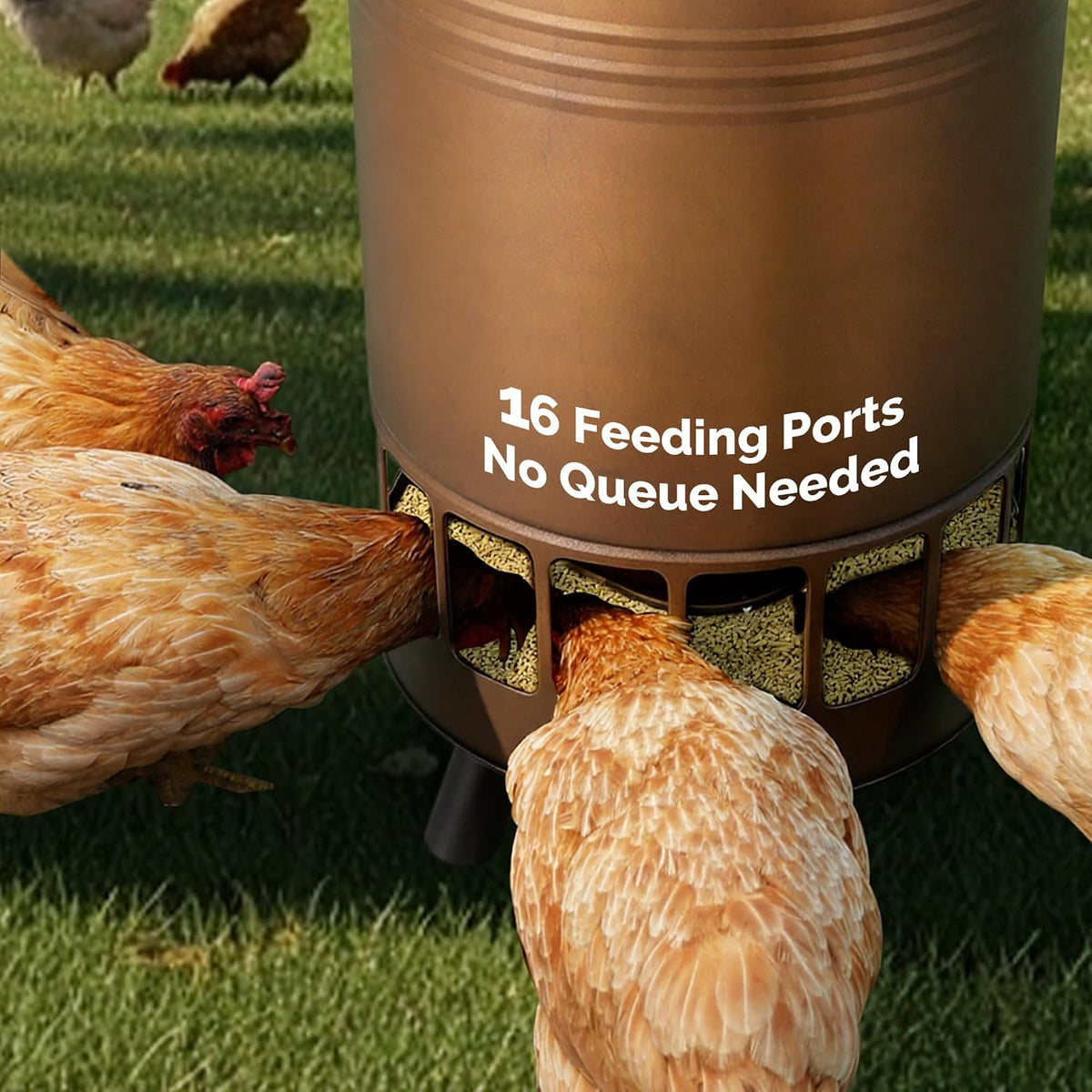 Solution4Patio 50LB No-Waste Chicken Feeder, Brown