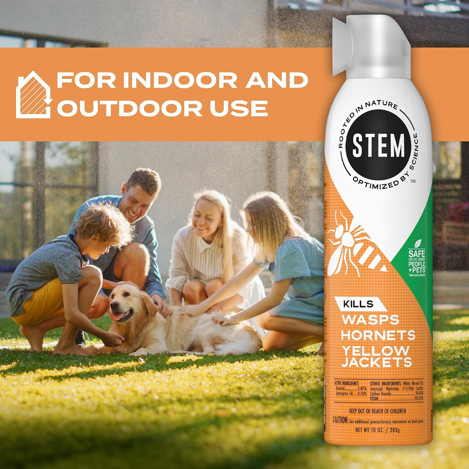 Kills Wasps, Hornets and Yellow Jackets: Plant-Based Active Ingredient Bug Spray, Botanical Insecticide for Outdoor