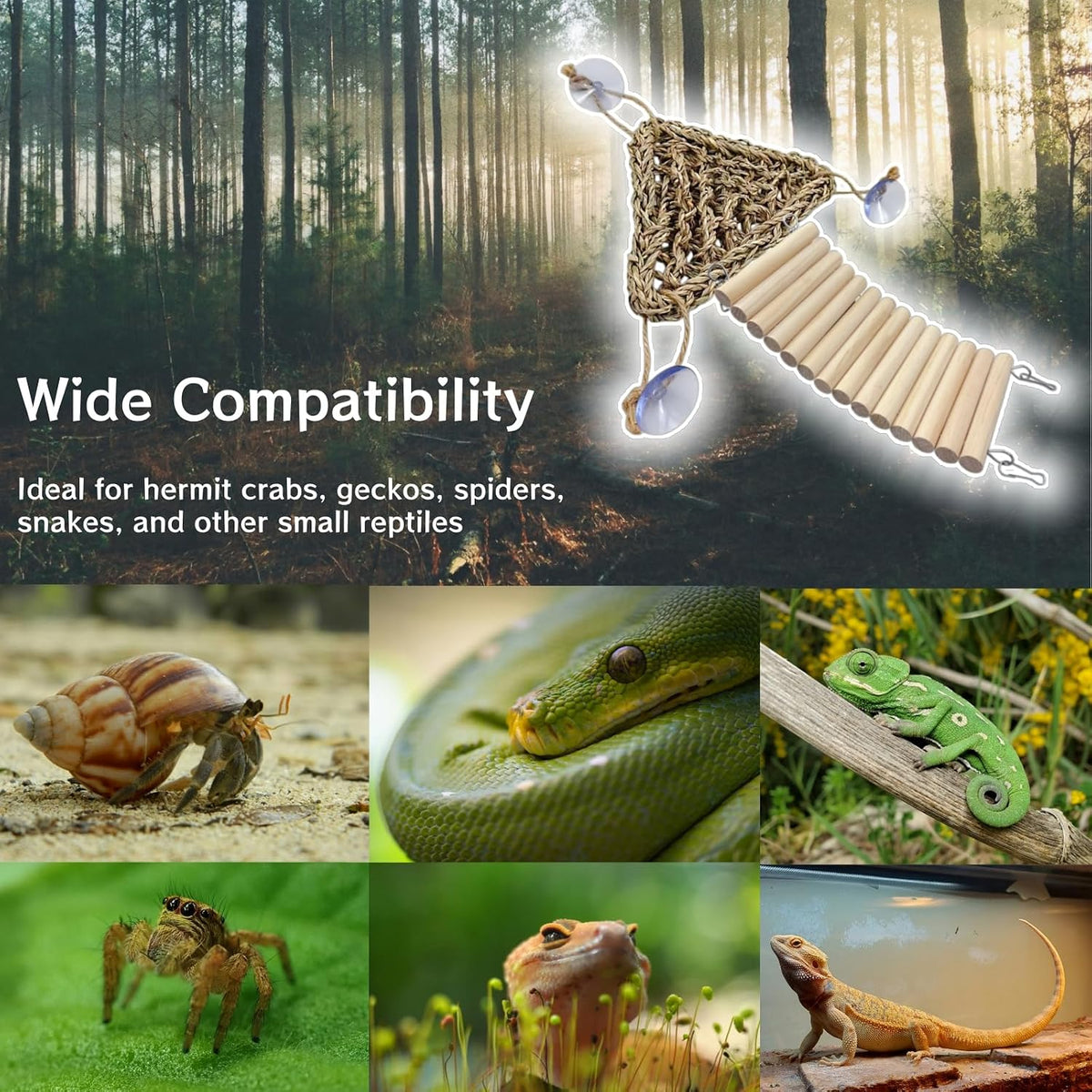 12-in-1 Hermit Crab Accessories Kit, 2026 New Kit for Bearded Dragon, Coconut Shell Hideout, Climbing Bridge