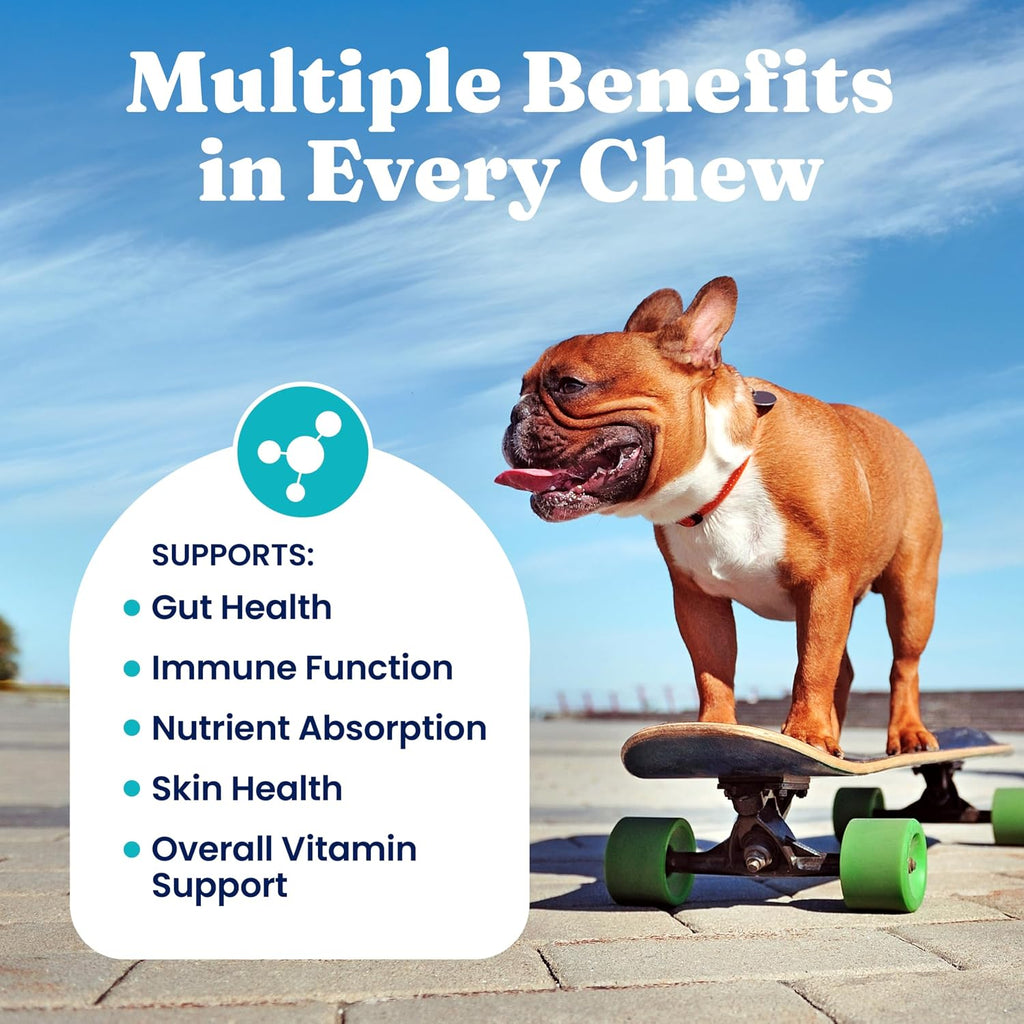 Dog Vitamins, Multivitamin Chews for Immune & Skin, 120ct