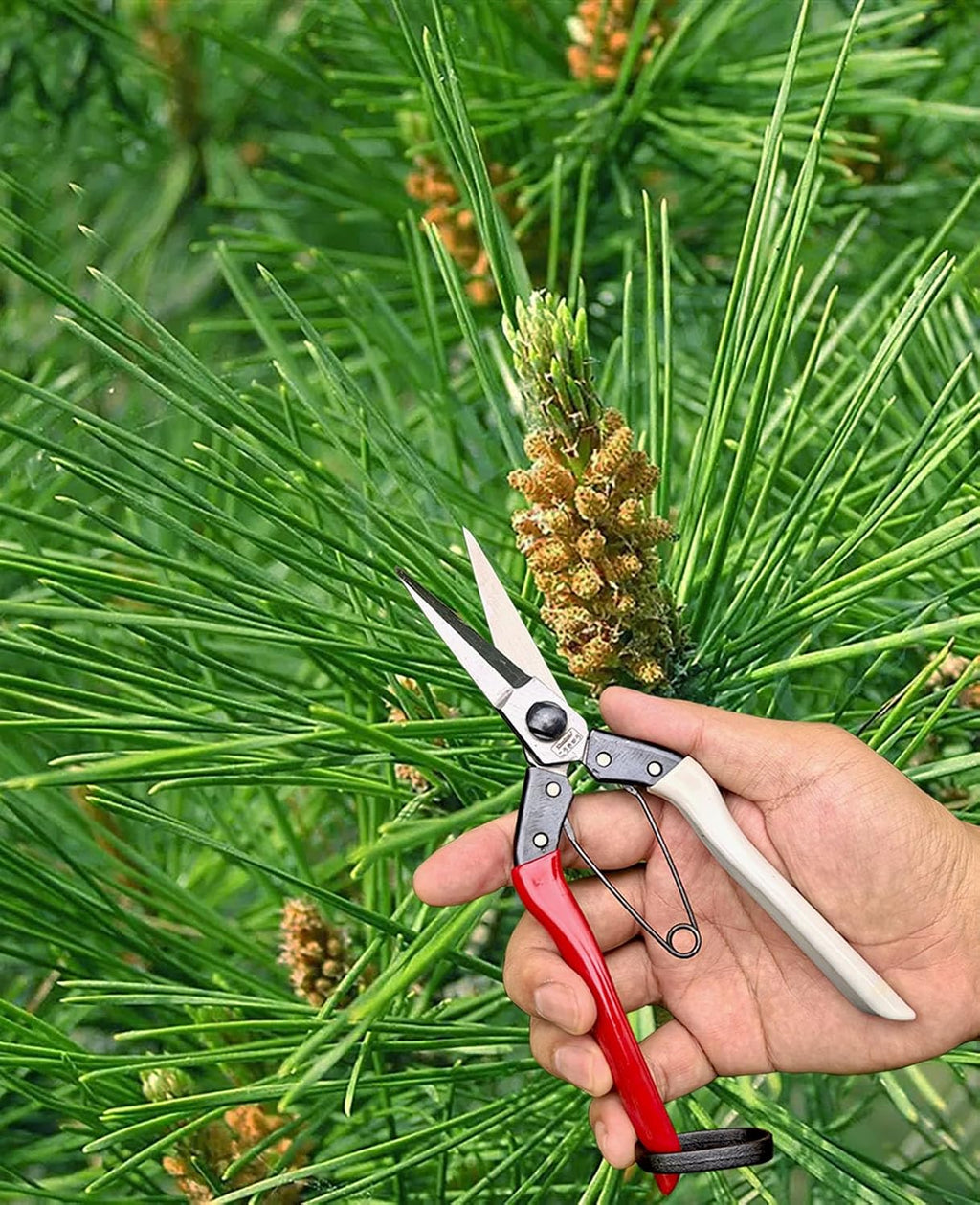 Double-Edge Garden Shears Micro-Tip Pruning Shears Extra Heavy Straight Garden Scissors Effortless Cuts Pruning
