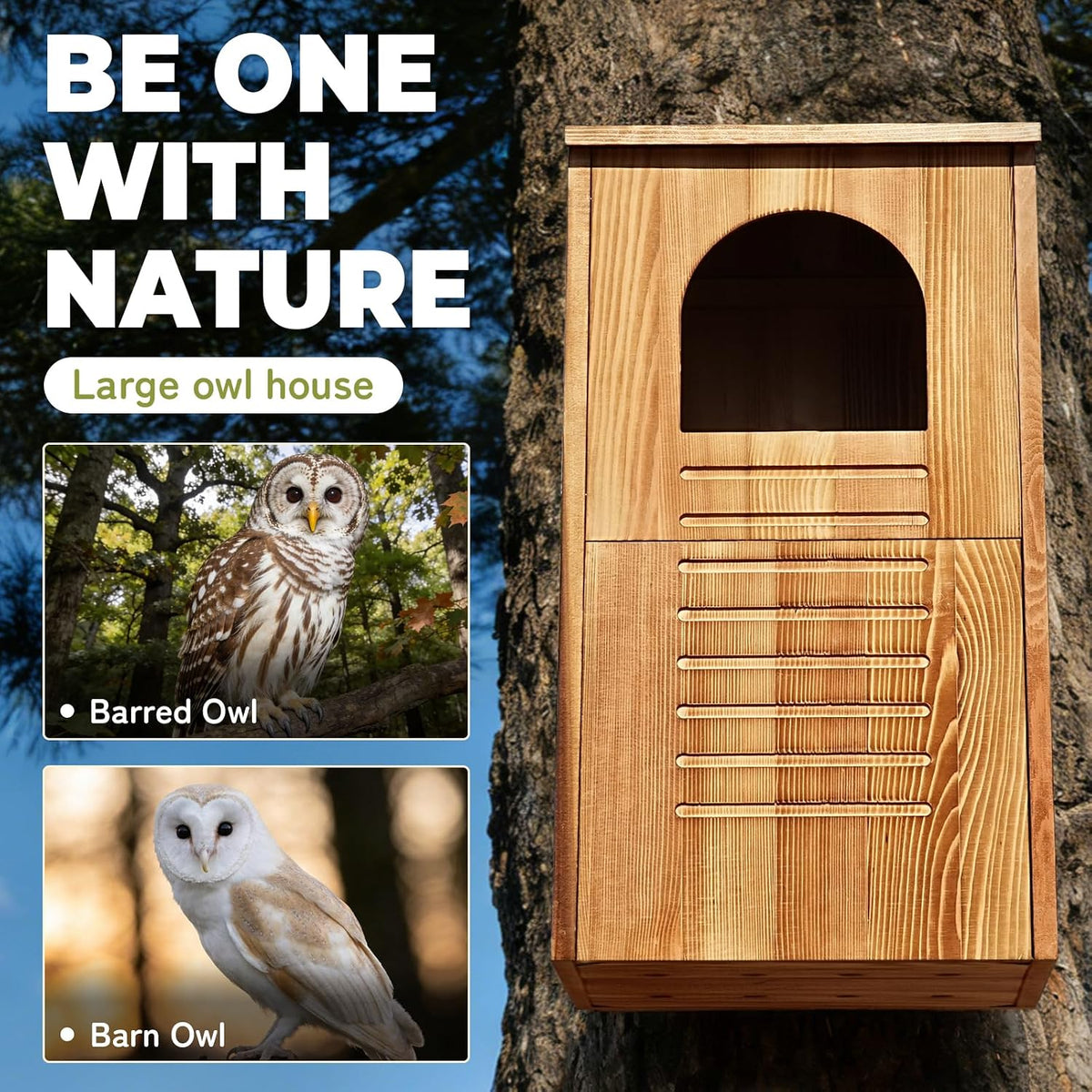 Barred Owl House, 25" Extra Large Owl Bird Box Handmade