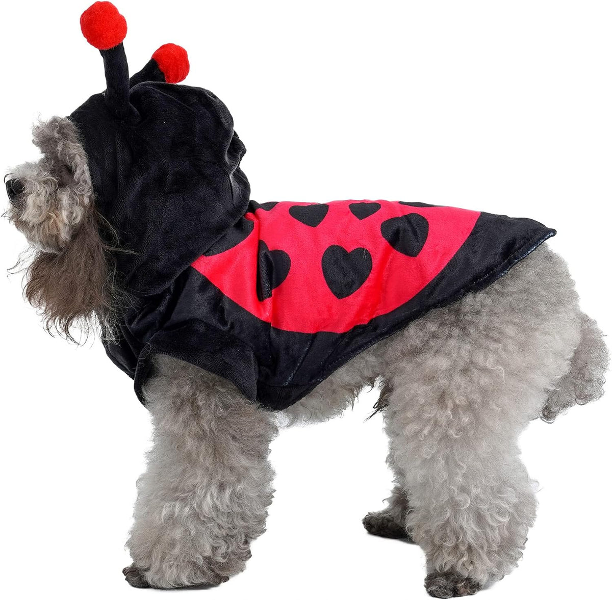 Ladybug Dog Cat Costume for Halloween, Small