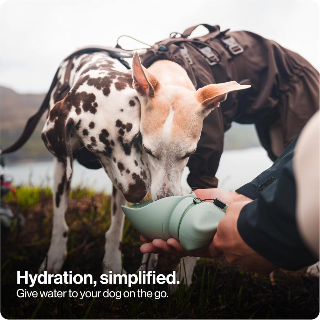Portable Dog Water Bottle, Collapsible Water Bottle for Dogs Perfect for Walking, Hiking and Outdoors | Works as a