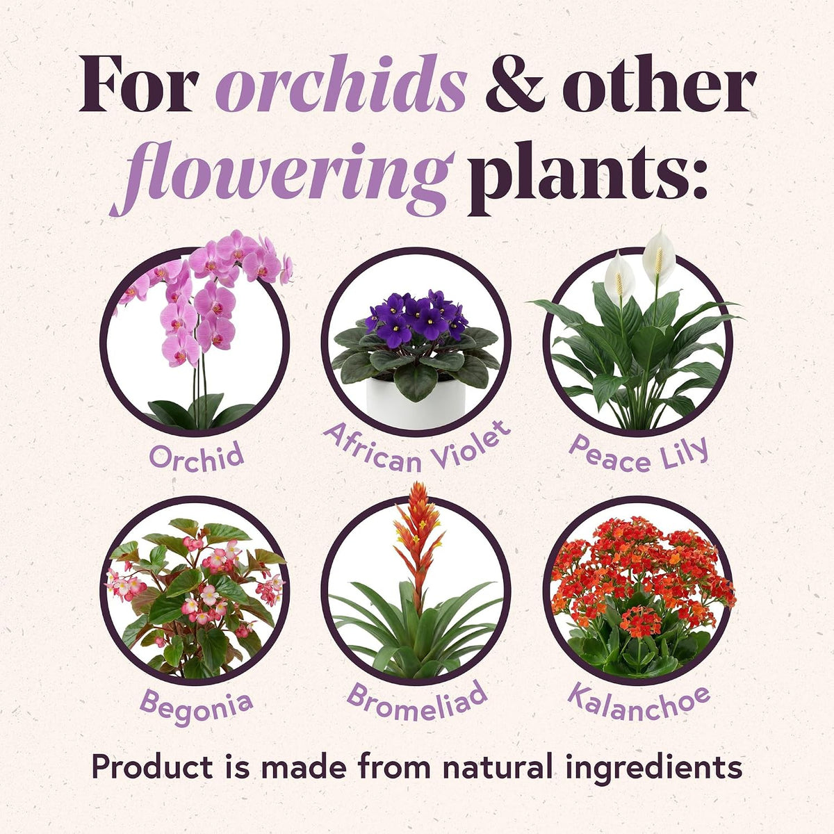 We the Wild Organic Bloom Pump & Go | Orchid Flower Booster |16.9 oz