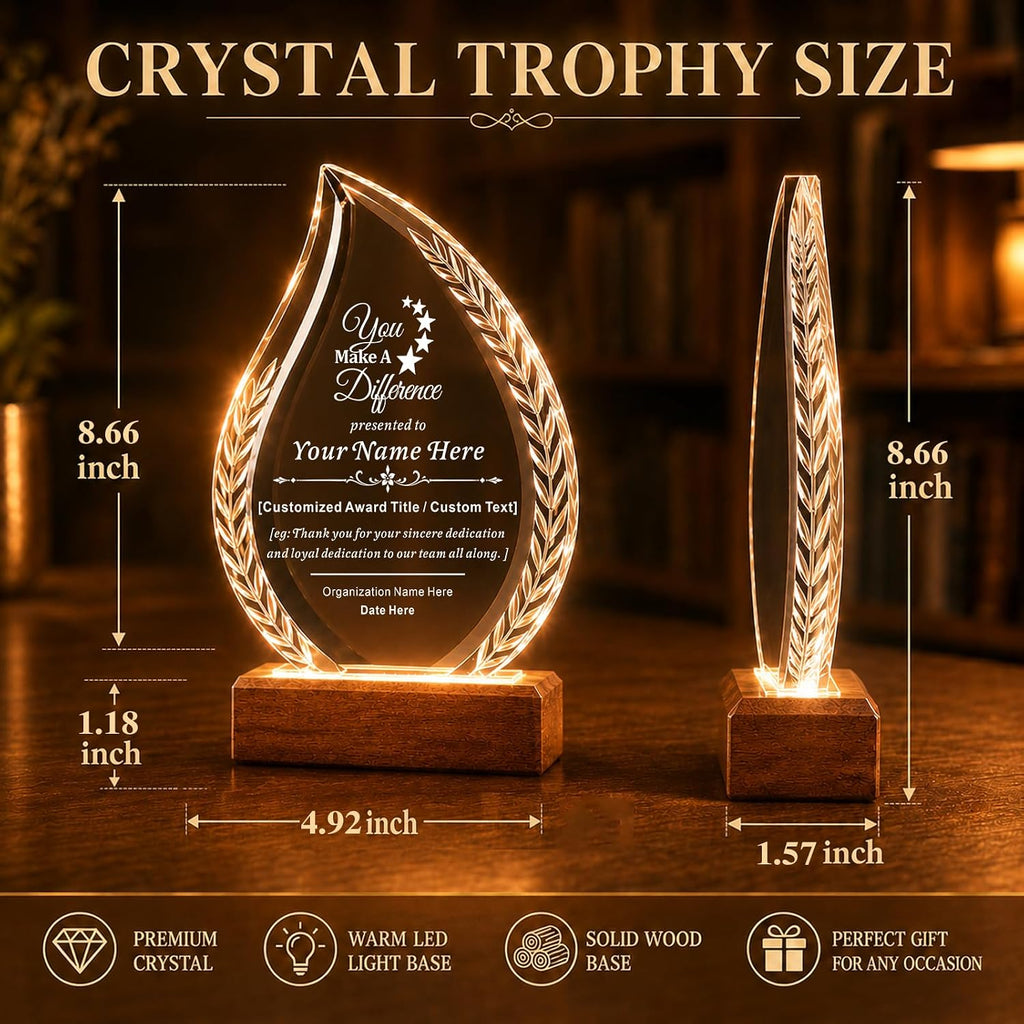 SHIP NEXT DAY, Custom Crystal Trophy Award, Engraved Plaque with LED Base