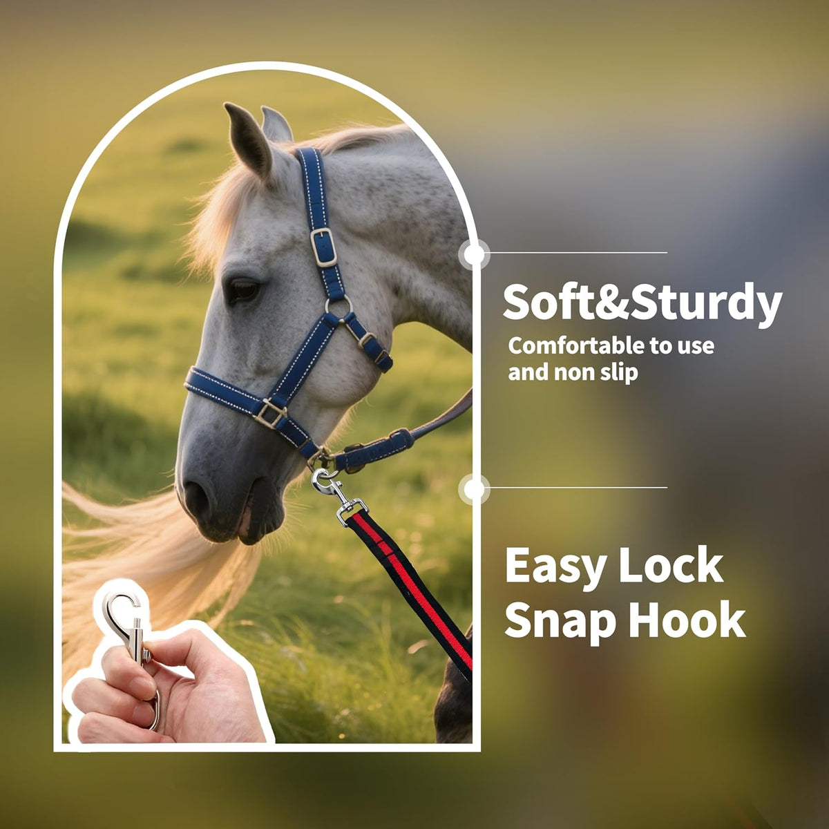 Lunge Line for Horse, Premium Equine Lunge Line with Swivel Bolt Snap for Accurate Equestrian Training, Competition