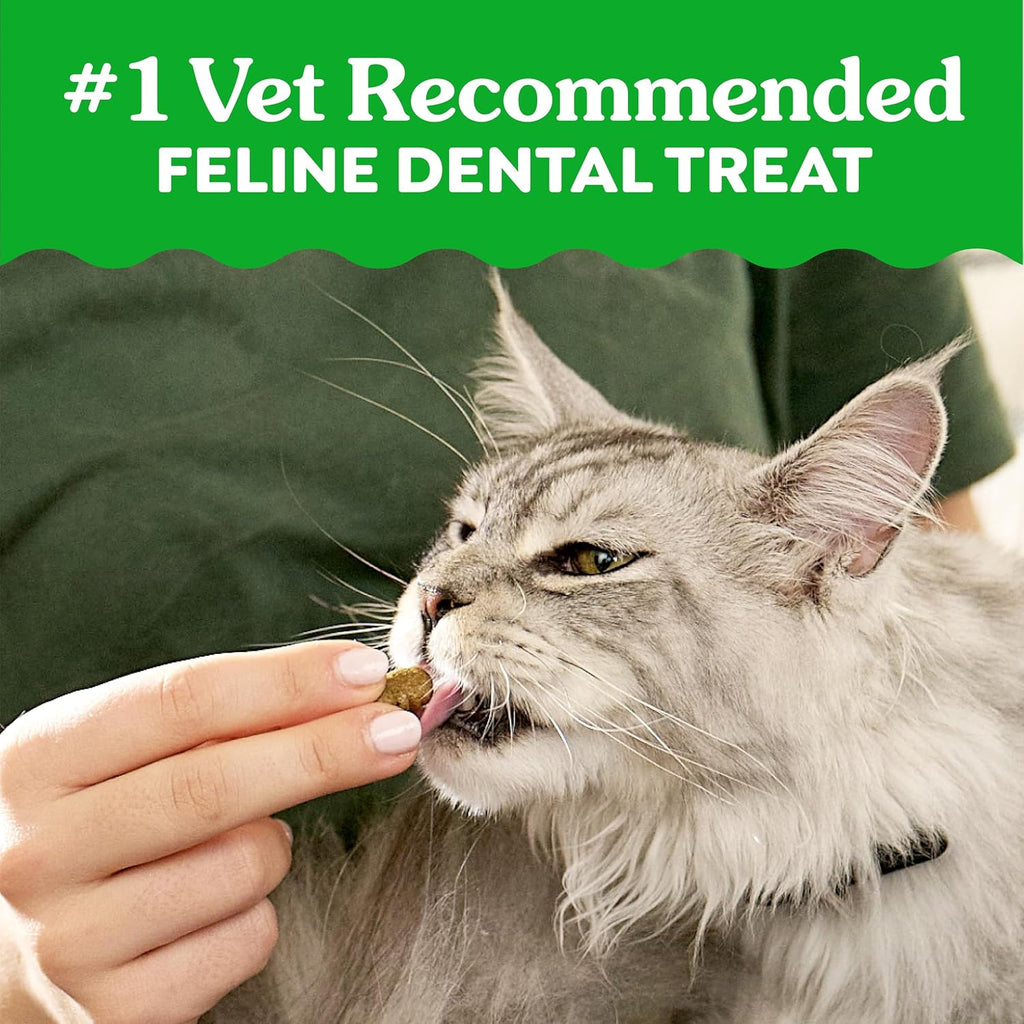 Feline Natural Dental Cat Treats, Catnip Flavor, 21 oz