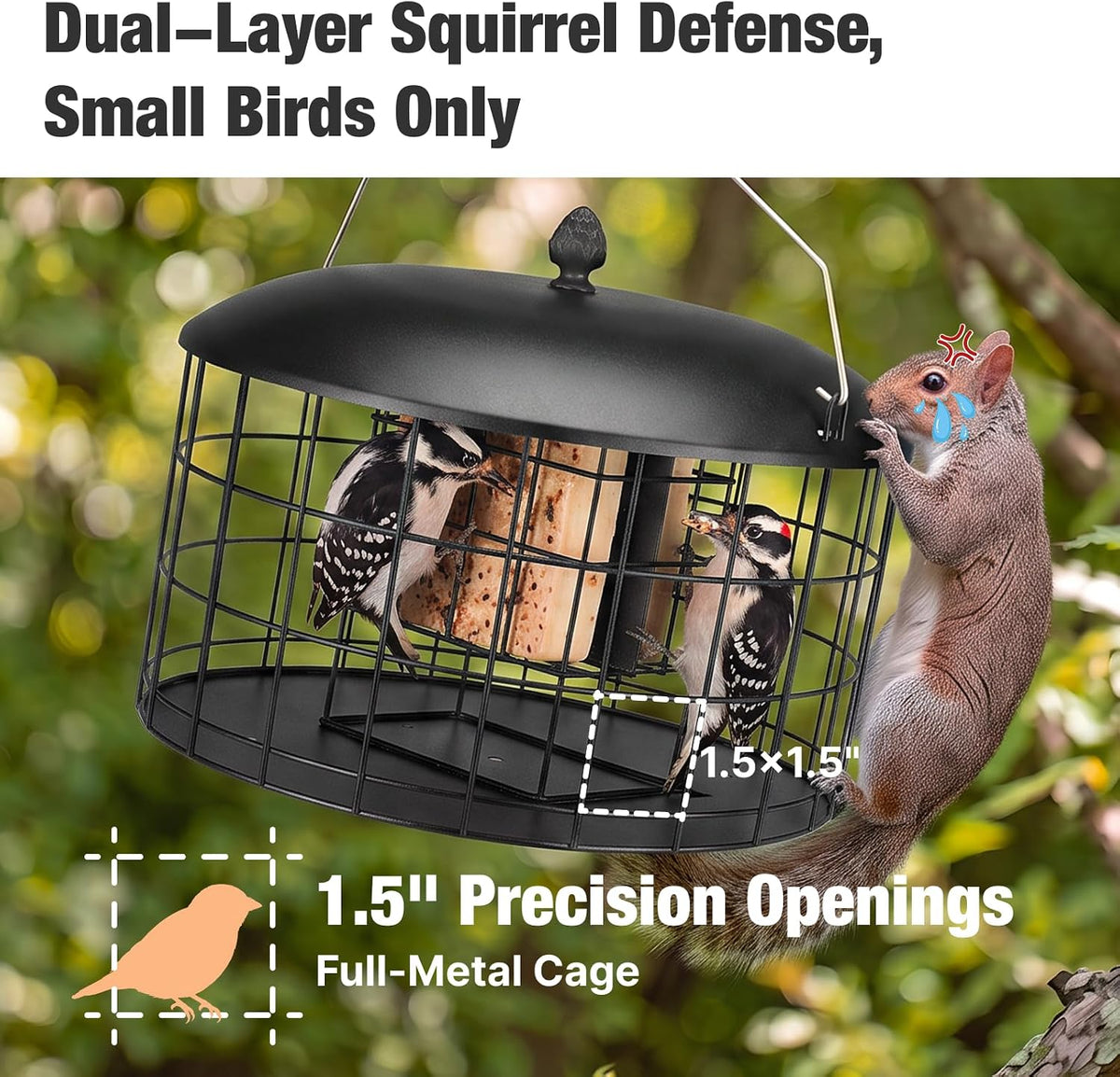 Squirrel Proof Suet Feeder for Woodpeckers, All Metal Caged Feeders