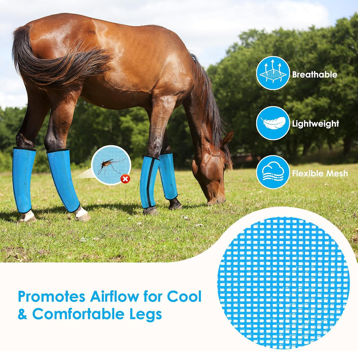Fly Boots for Horses Set of 4 – Innovative Curved-Edge Design, Anti-Sag Stays, Breathable Mesh Leg Protection
