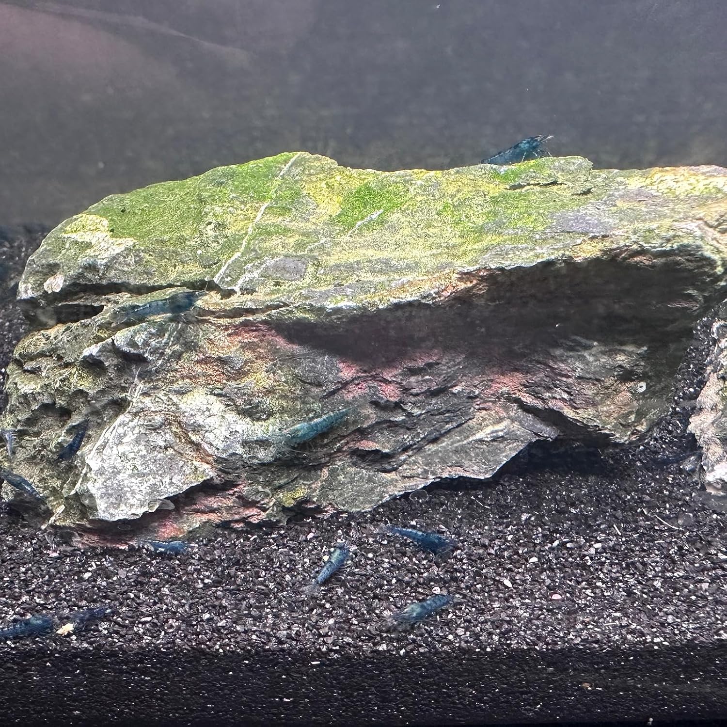 Aquarium Sand, 2lbs Black Fish Tank Sand, Aquarium Gravel Substrate