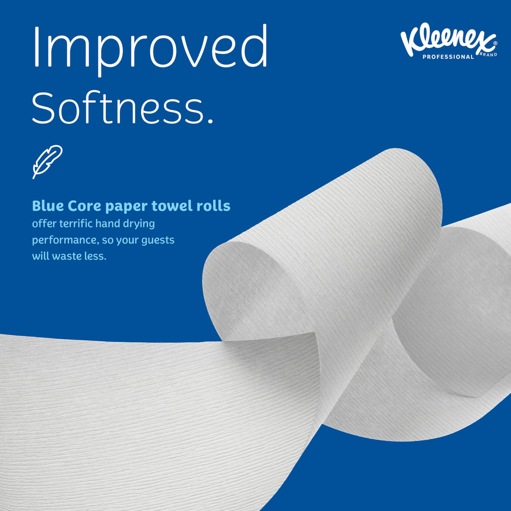 Professional Hard Roll Paper Towels, Bulk, 6 Rolls x 700' (25637)