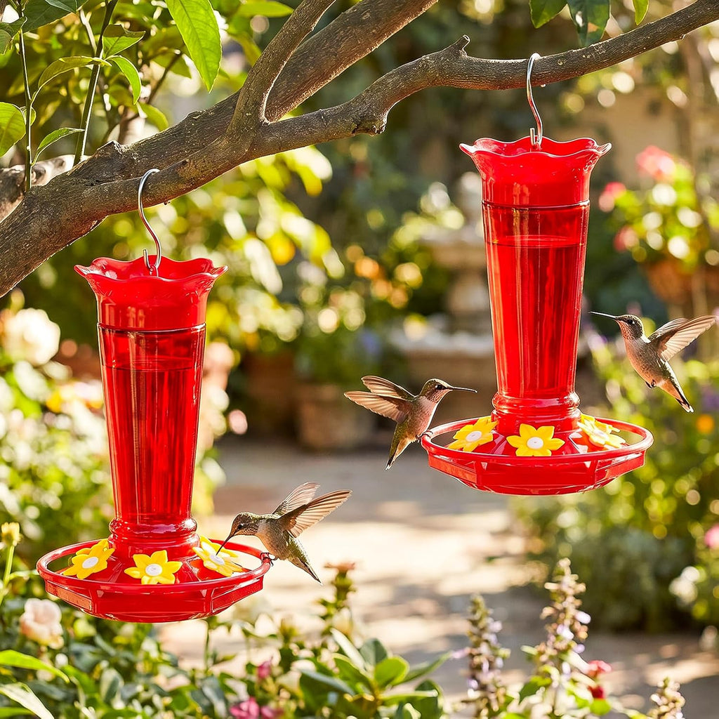 10 OZ Glass Hummingbird Feeders for Outdoors Hanging - Red 2 Pack, Ant & Bee Proof and 6 Feeding Ports, Garden Yard