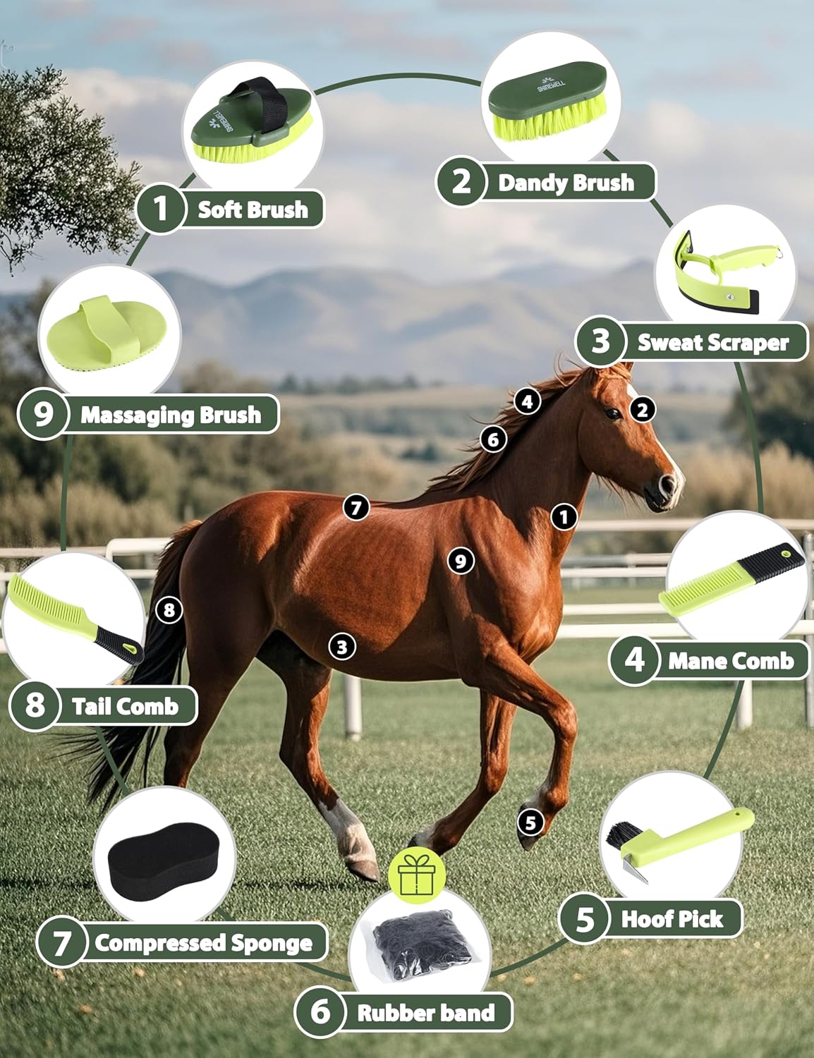 8-piece Horse Grooming Kit, Complete Horse Brush Set