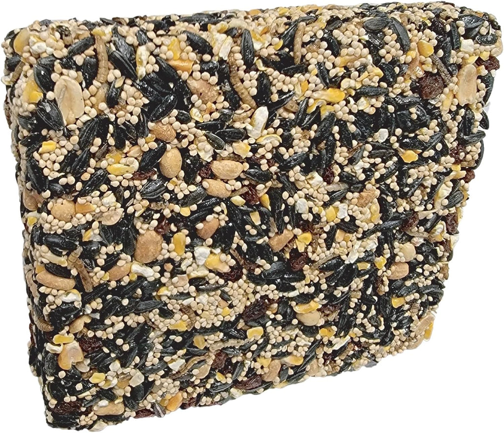 Songbird Treats Seed Bars | 8 Pack of 1.75-2 lb Bird Seed Cakes for Wild Birds (Songbird Feast)