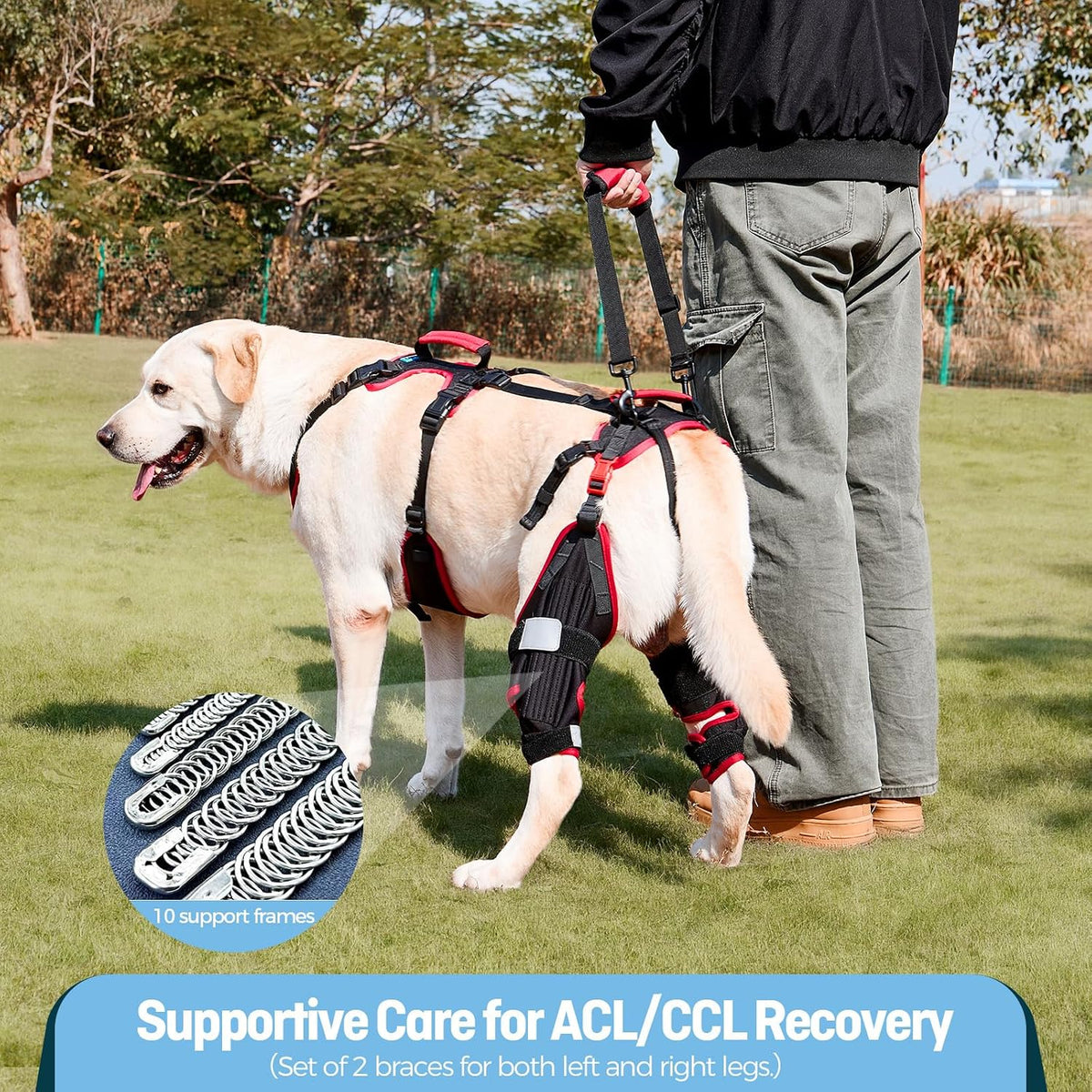 Dog ACL CCL Knee Brace for Large Dogs, Set of 2 Hind Leg Braces with Handles & Shoulder Strap – Non-Slip Support for