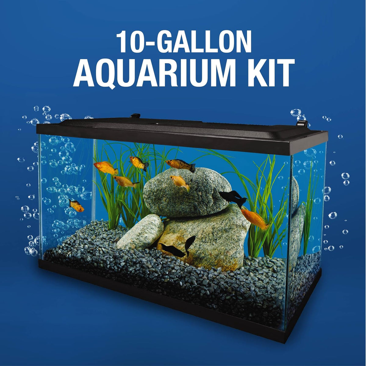 Complete 10 Gallon Fish Tank Kit for Freshwater & Saltwater Fish