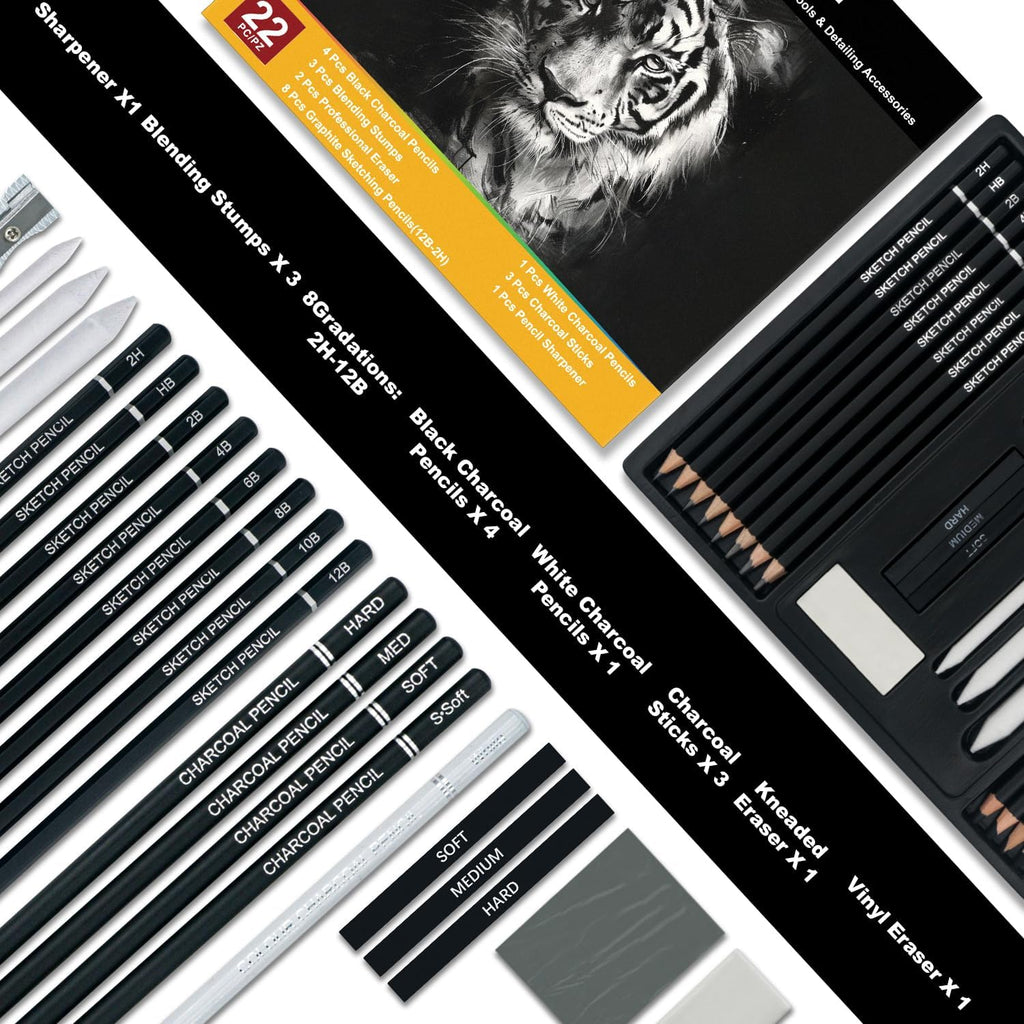 Charcoal Pencils for Drawing, Set of 22, Professional Drawing Sketch Pencils, Charcoal Art Supplies for Sketching