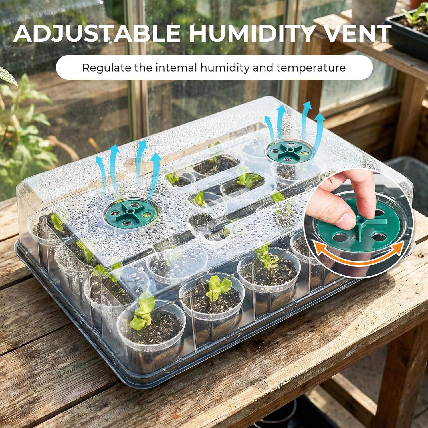 2 Pack 20 Cell Seed Starter Trays with Humidity Domes and 40 Pots | Includes 2 humidity domes and 40 clear 3 inch
