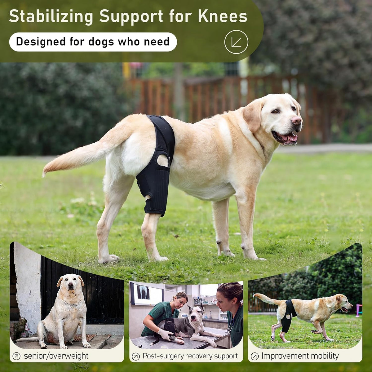 Dog Knee Braces for Back Leg, Adjustable Torn ACL Brace for Dogs