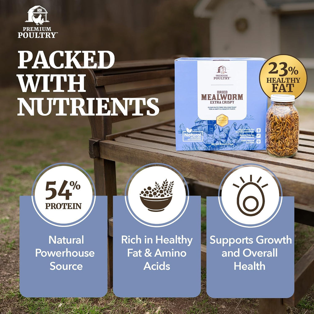 Mealworms for Chickens & All Birds, Non GMO & Organic, 5lb