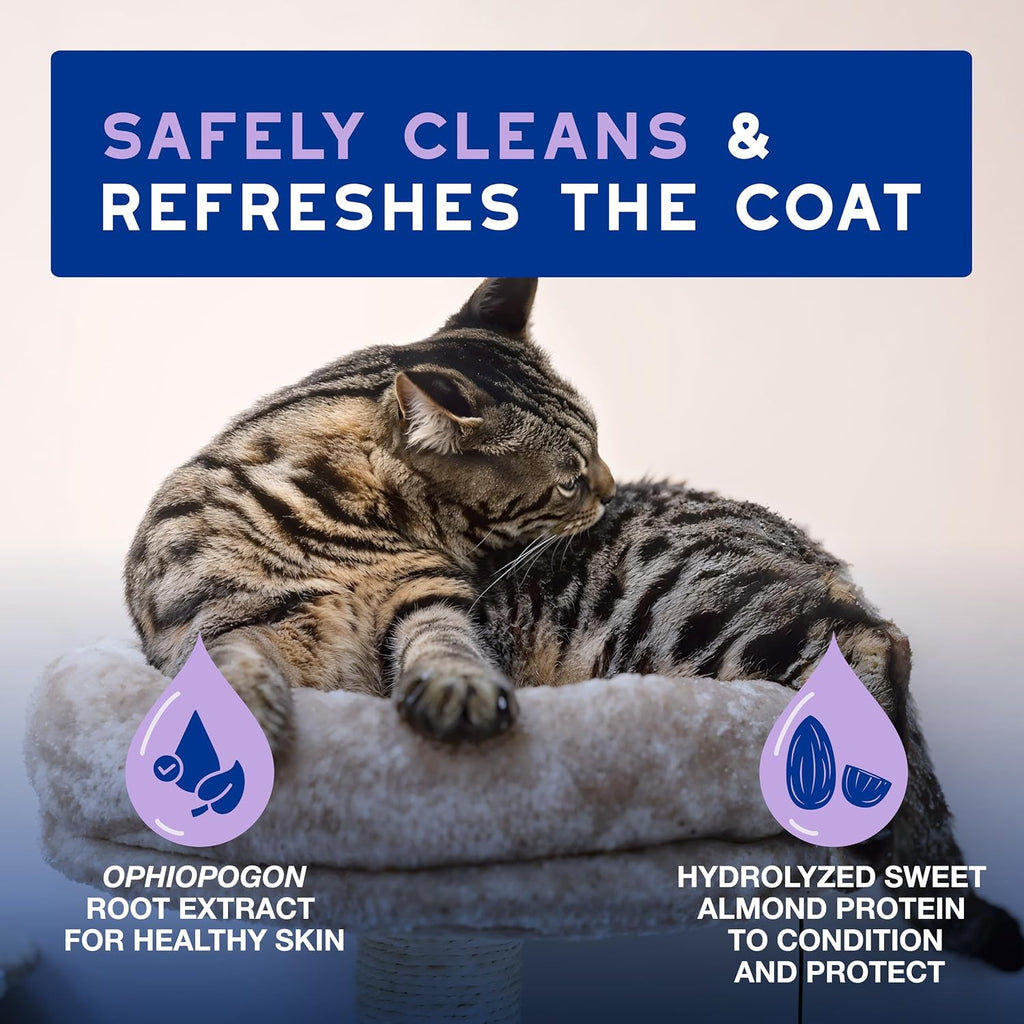 SPA Waterless Cat Shampoo, 10 fl oz