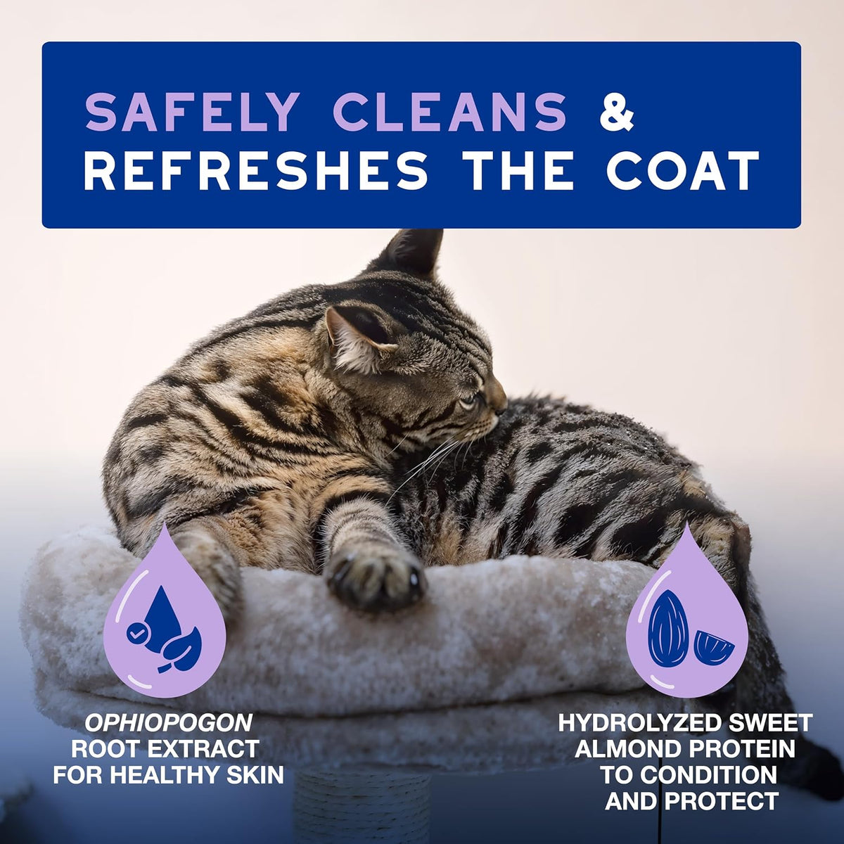 SPA Waterless Cat Shampoo, 10 fl oz