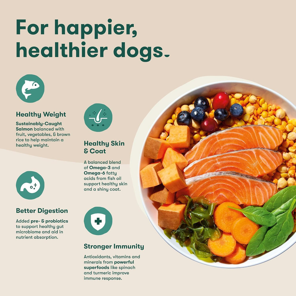 Grain Free Dry Dog Food - Real Salmon, Sweet Potato & Carrot, 4lb