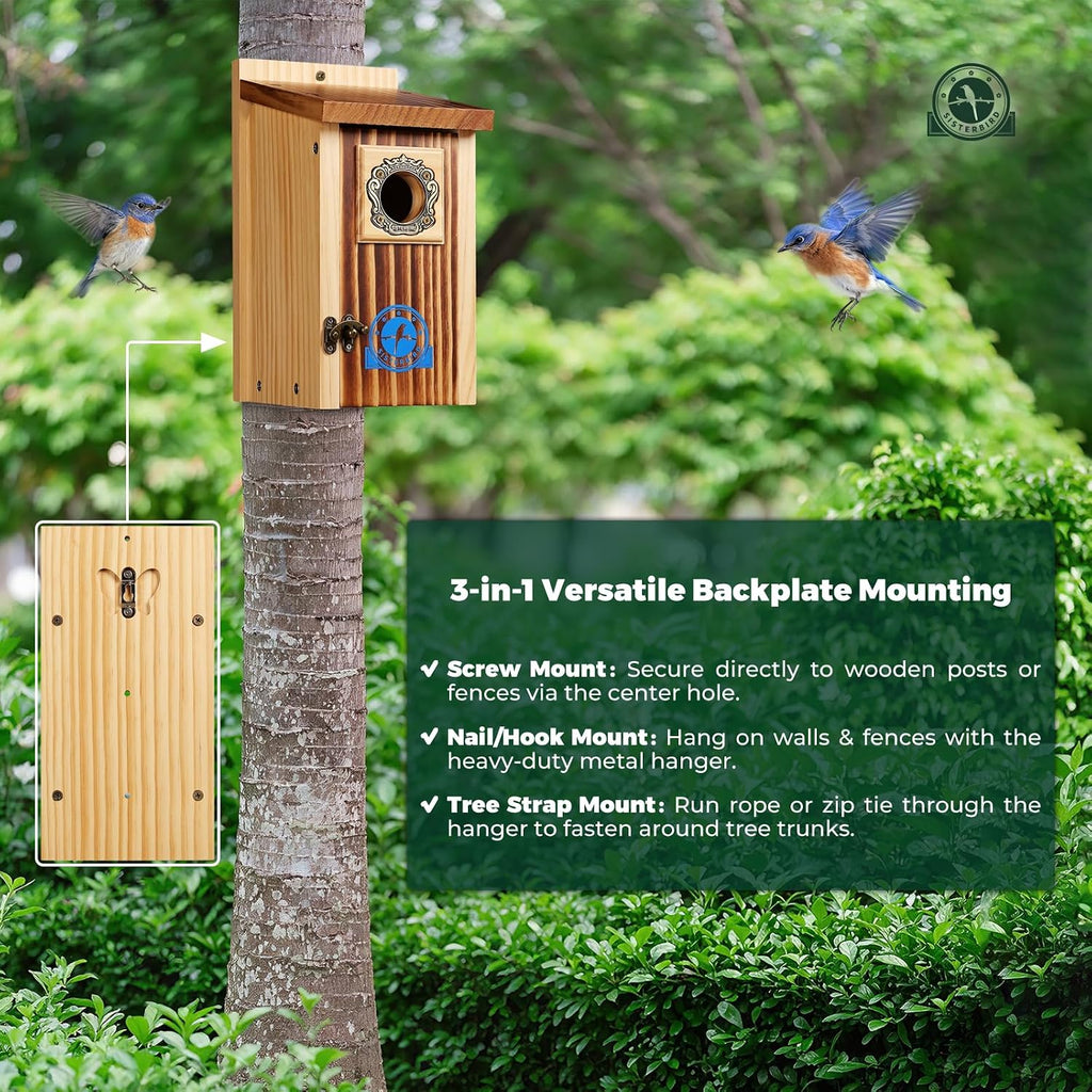 Premium Bluebird Houses for Outside, Bird House, Warming Gifts