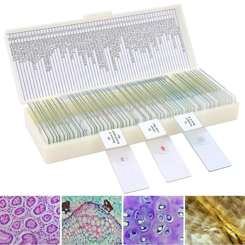 60 Microscope Slides with Specimens for Kids, Prepared Microscope Slides for Kids Microbiology, Prepared Microscope