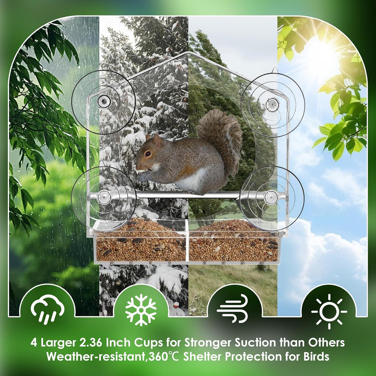 Window Bird Feeder with Strong Suction Cups - Slide-Out Tray