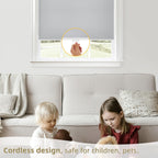 Blackout Roller Shades Pull Down, Cordless Window Blinds for Home
