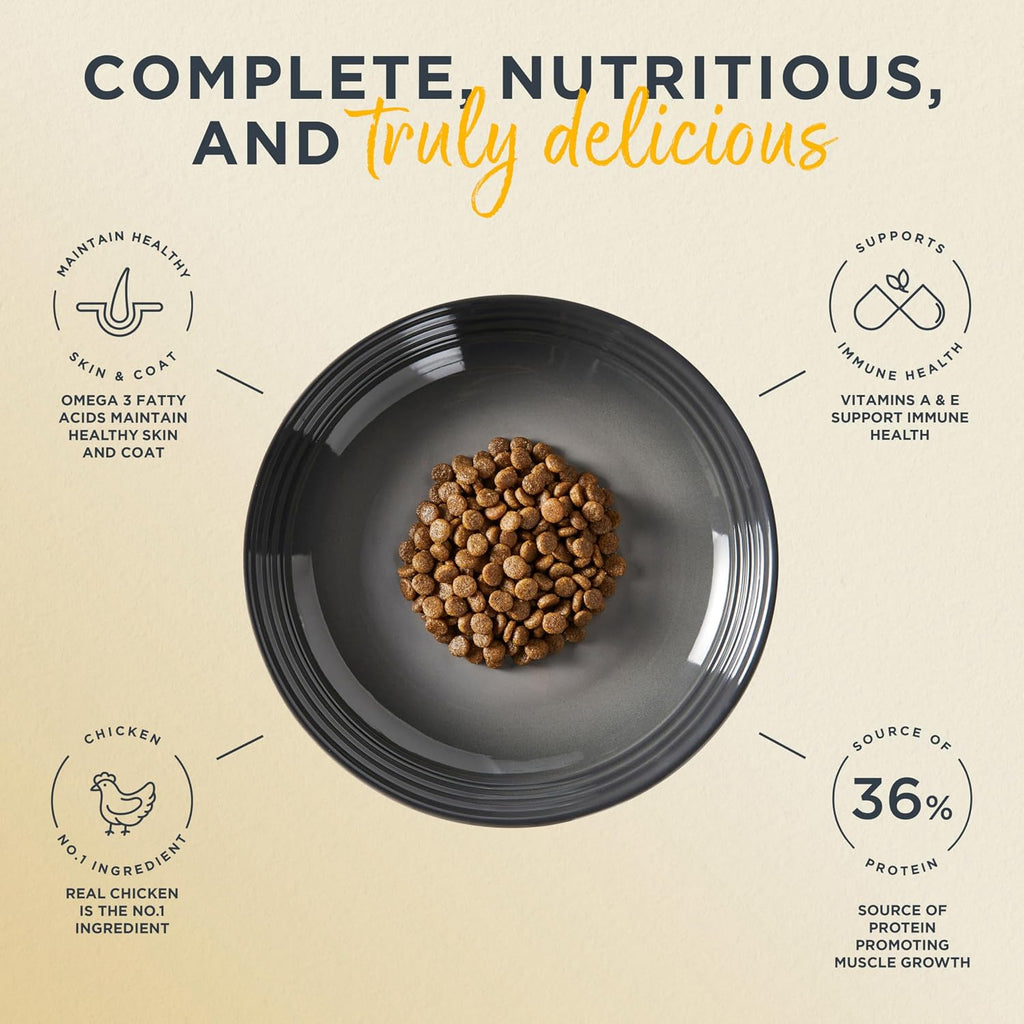 Chicken Recipe Grain Free Complete Dry Cat Food 7 lb Bag