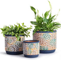 3 Piece Ceramic Plant pots Indoor Pots Set with Drainage Holes, 5.7/4.7/3.5/inch, Modern Decorative pots Outdoor
