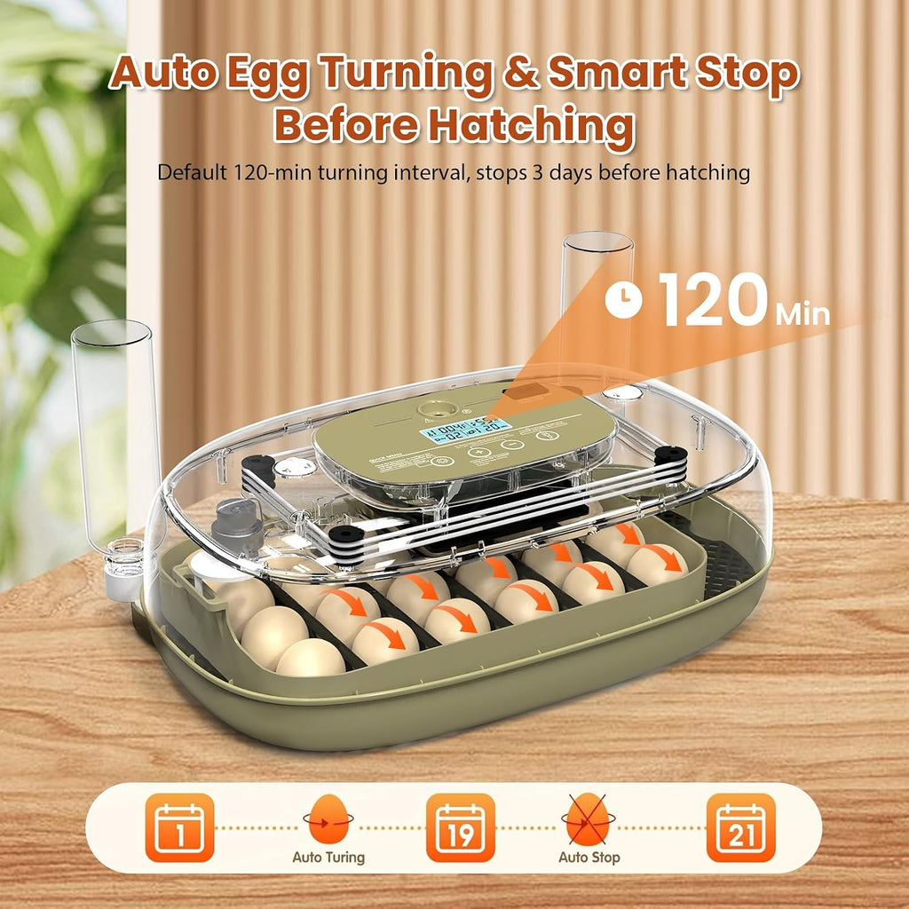 24 Egg Incubator with Humidity Display & Candler, Automatic Adjustable Turner, Temp & Humidity Control, Auto Water
