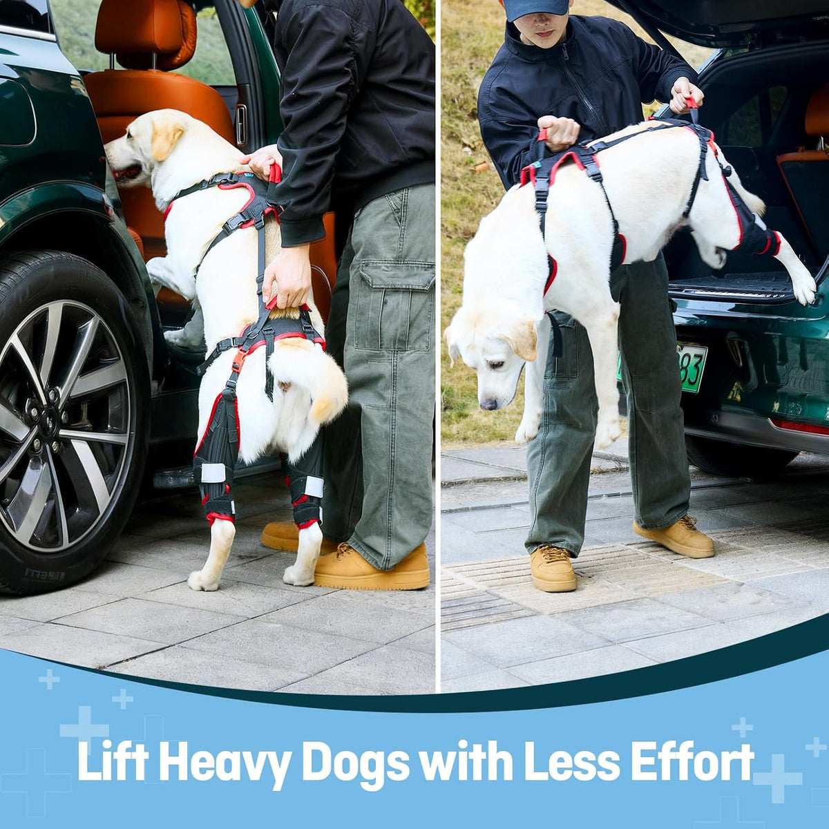 Dog ACL CCL Knee Brace for Large Dogs, Set of 2 Hind Leg Braces with Handles & Shoulder Strap – Non-Slip Support for