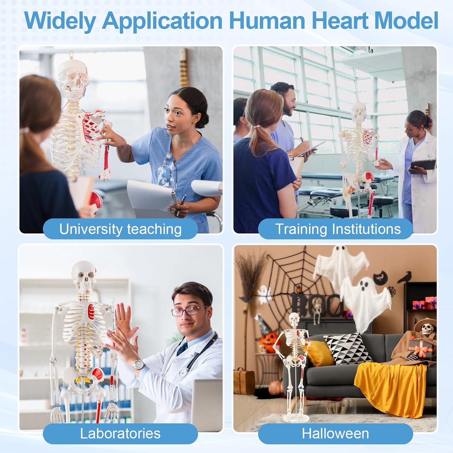33.4” Human Skeleton Model with Removable Arms & Legs – Durable Mini Anatomy Model for Teaching, Scientific Study