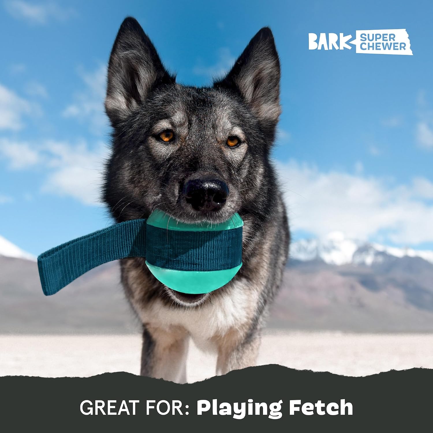 Super Chewer Rope Dog Toy for Aggressive Chewers with Reinforced Strap (Tailspin - Large)