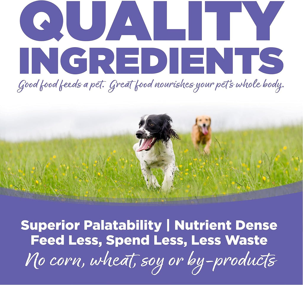 Small & Medium Breed Puppy Dry Dog Food, 26 lb