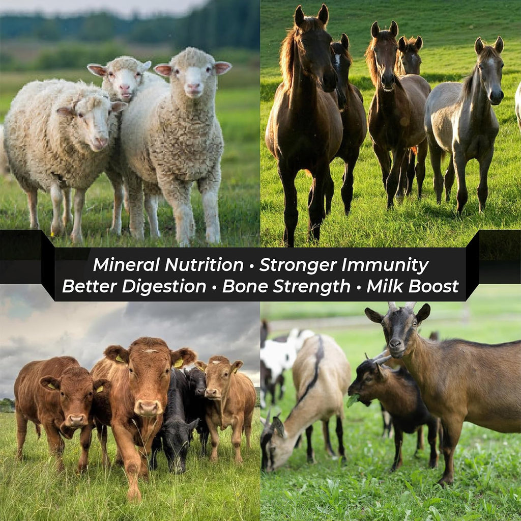 Himalayan Pink Salt Licks for Animals – Natural Salt Block with Rope for Horses, Cows, Deer & More – No Harmful